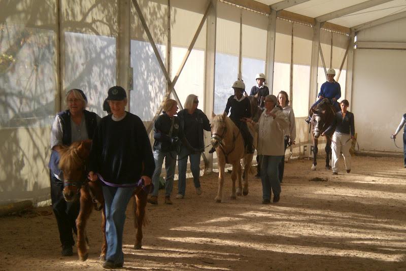 Projects Abroad Equine Therapy interns in South Africa help children ride horses during a therapy session. Equine Therapy interns walk with children and horses at a therapy centre in Cape Town, South Africa.